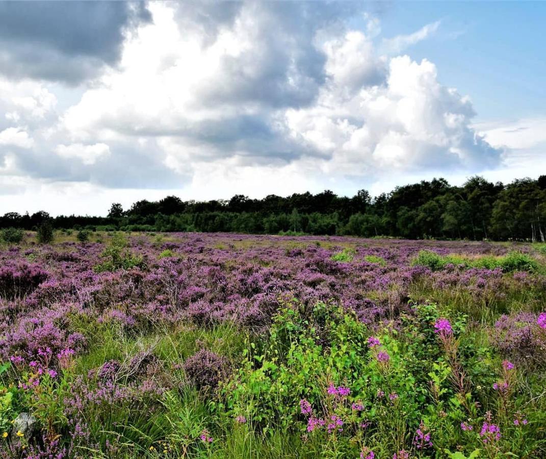 B&B De Panheide Hooghalen Eksteriør bilde