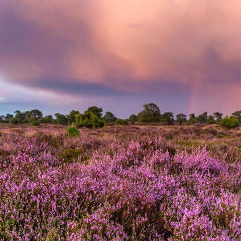 B&B De Panheide Hooghalen Eksteriør bilde