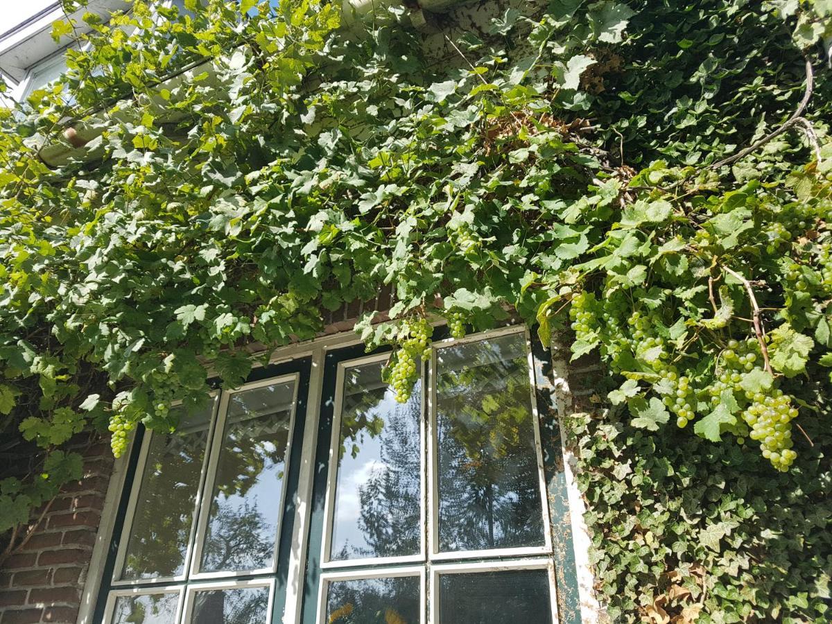 B&B De Panheide Hooghalen Eksteriør bilde